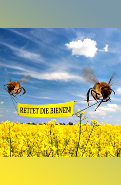Blütenhonig